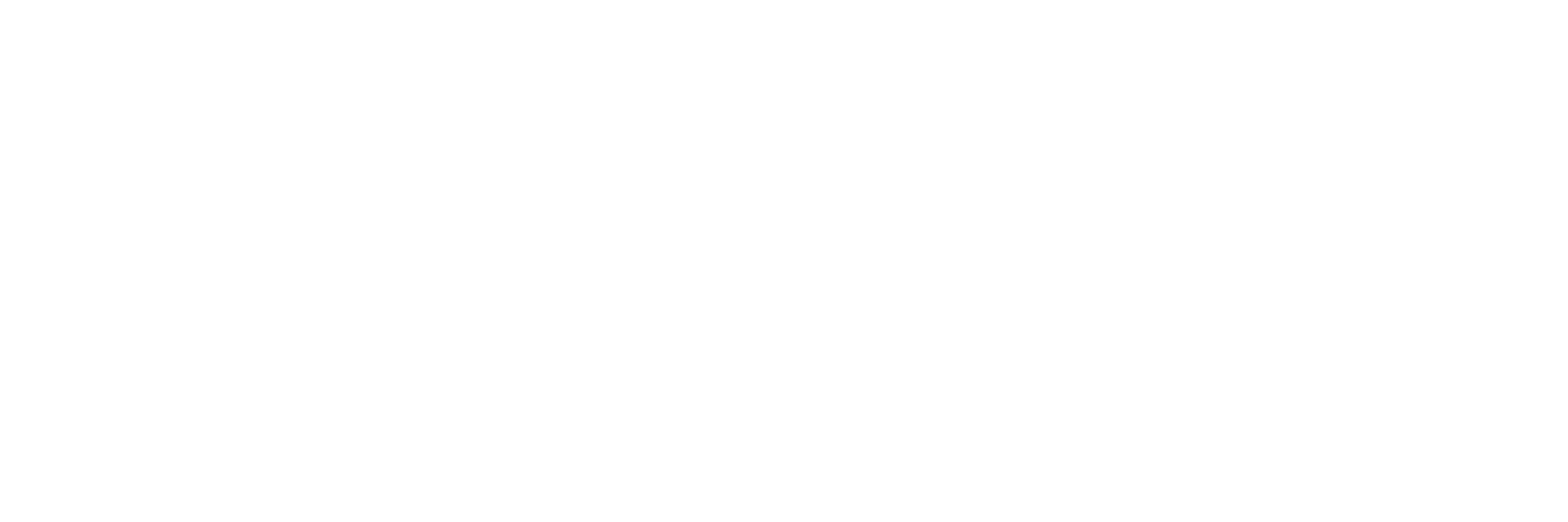 MetricaPro